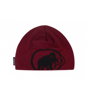 Mütze Mammut Tweak Beanie Winter 2024