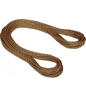 Въже Mammut 8.0 Alpine Dry Rope 30m Winter 2023