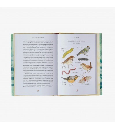 Patagonia Book 