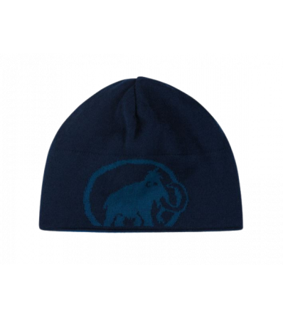 Mütze Mammut Logo Beanie Winter 2024