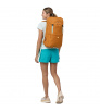 Patagonia Fieldsmith Roll Top Pack 30L Summer 2024