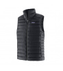 Patagonia Down Sweater Vest W's Winter 2024
