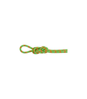 Въже Mammut 8.0 Alpine Core Protect Dry Rope 60m
