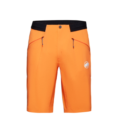 Шорти Mammut Aenergy Light So Shorts SS2024