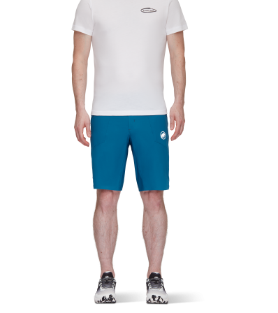 Шорти Mammut Aenergy Light So Shorts SS2024