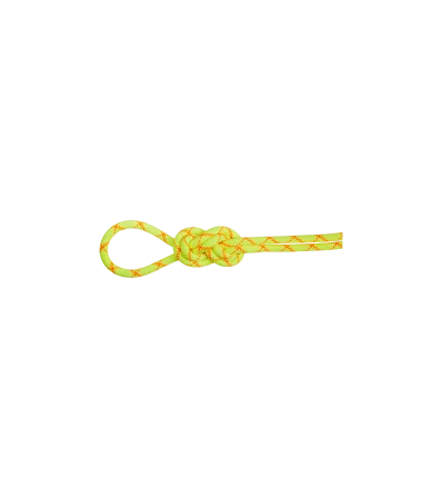 Mammut 9.5 Alpine Core Protect Dry Rope 70m Winter 2025