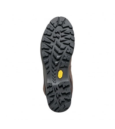 Trail Schuhe Scarpa R-Evolution GTX M's