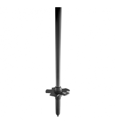 Faction Skis Black Pole