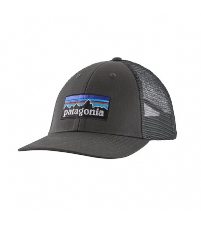 Patagonia P-6 Logo LoPro Trucker Hat Winter 2025