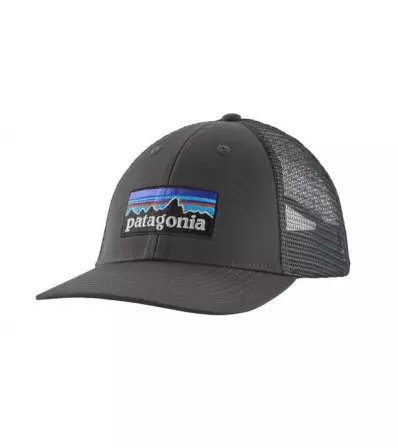 Patagonia P-6 Logo LoPro Trucker Hat Winter 2025