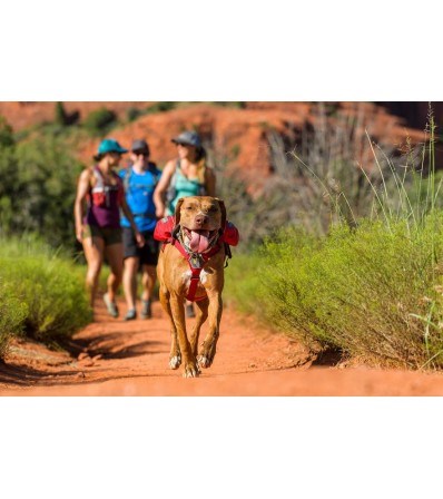 Ruffwear Singletrak Dog Pack