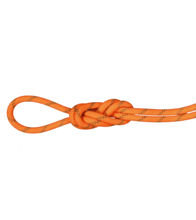 Въже Mammut 8.0 Alpine Dry Rope Dry Standart 60m Summer 2023