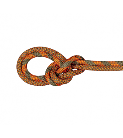 Mammut 9.5 Crag Dry Rope Duodess 60M Summer 2024