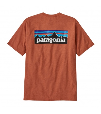 Patagonia P-6 Logo Responsibili-Tee M's Winter 2025