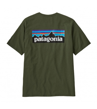 Patagonia P-6 Logo Responsibili-Tee M's Winter 2025