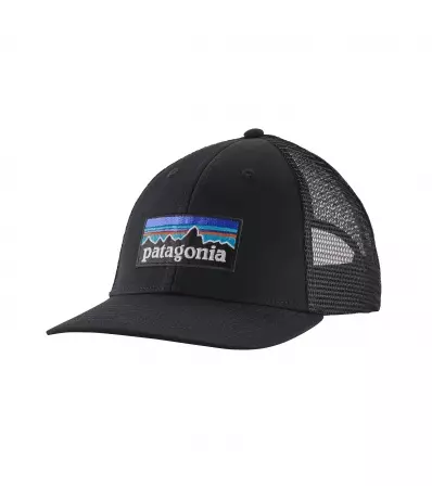 Patagonia P-6 Logo LoPro Trucker Hat Winter 2025