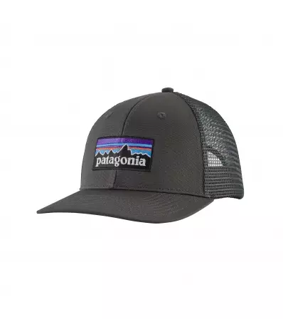 Шапка Patagonia P-6 Logo Trucker Hat Winter 2025