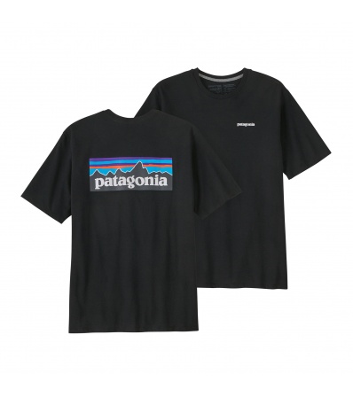 Patagonia P-6 Logo Responsibili-Tee M's Winter 2025