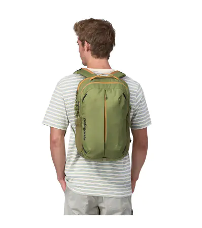 Patagonia Refugio Daypack 26L Summer 2024