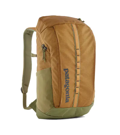 Раница Patagonia Black Hole Pack 25L Summer 2024