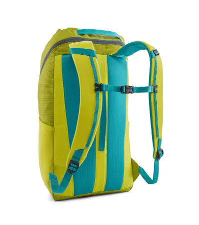 Раница Patagonia Black Hole Pack 25L Summer 2024