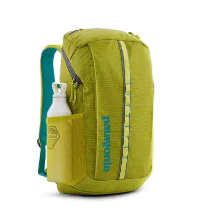 Раница Patagonia Black Hole Pack 25L Summer 2024