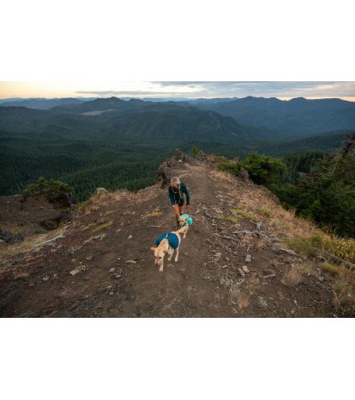 Ruffwear Front Range Day Pack