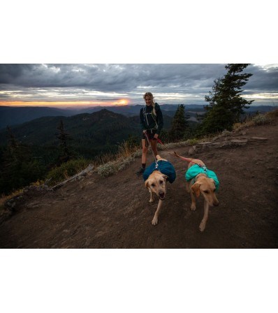 Ruffwear Front Range Day Pack