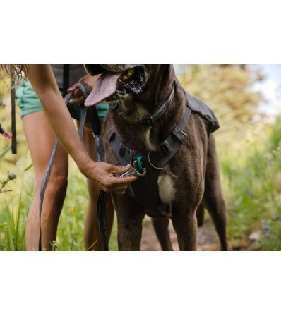 Ruffwear Switchbak Harness