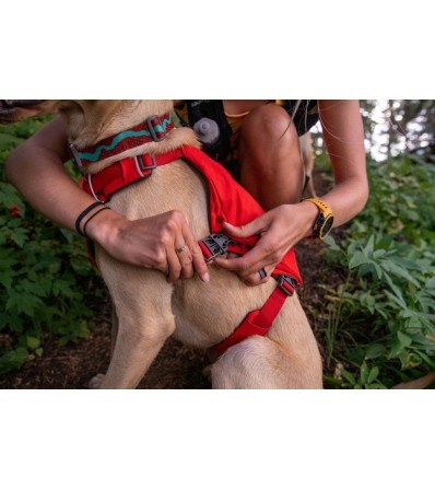 Ruffwear Switchbak Harness