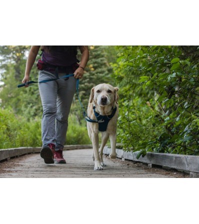 Ruffwear Front Range Harness