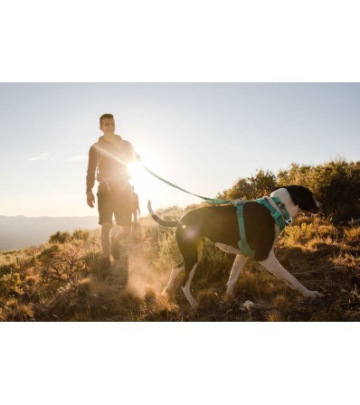 Ruffwear Front Range Harness