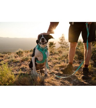 Ruffwear Front Range Harness