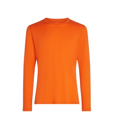 Блуза Icebreaker M's Merino 200 Oasis LS Crewe Thermal Top Winter 2025