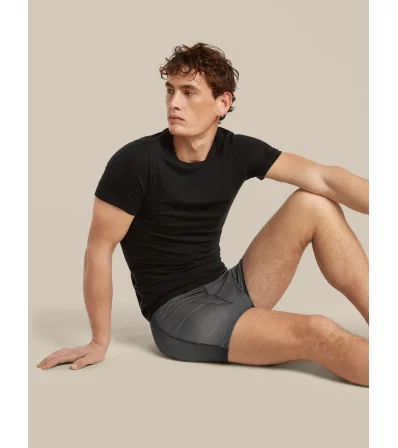 Icebreaker Merino 150 Anatomica Boxers Transitions