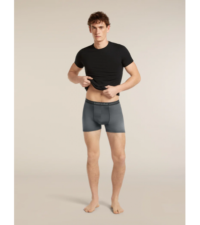 Icebreaker Merino 150 Anatomica Boxers Transitions