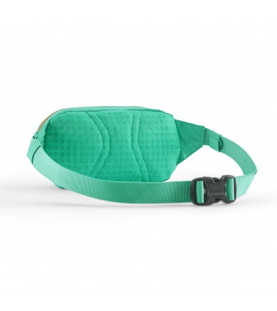 Patagonia Terravia Mini Hip Pack 1L