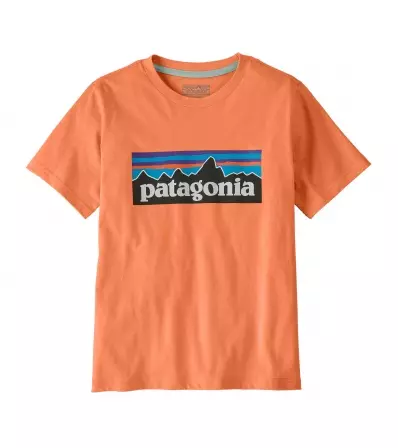 Patagonia Kid's P-6 Logo T-Shirt