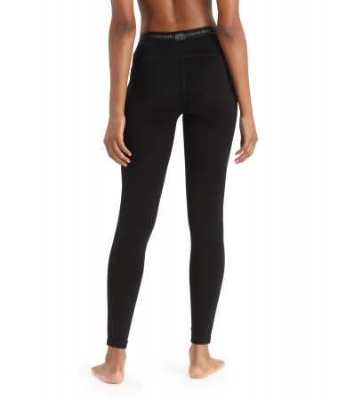 Клин Icebreaker Merino 260 Tech Thermal Leggings W's Winter 2025