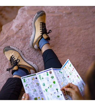 Shoes Danner Trail 2650 Gtx W's