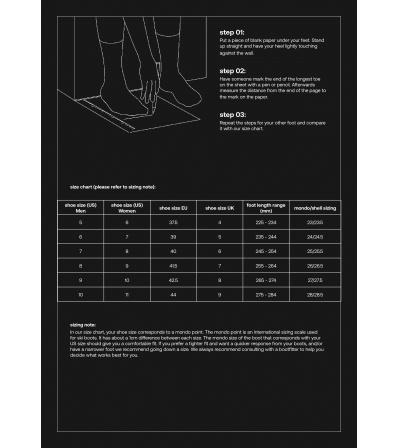 Ski boots Phaenom freeride 100