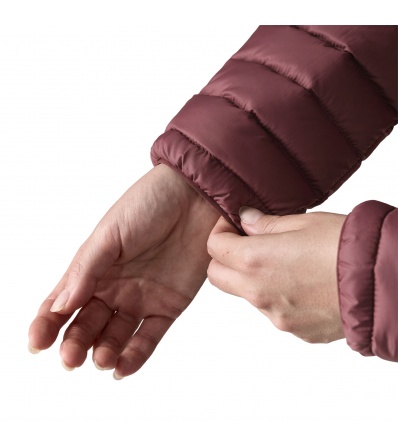 Patagonia Down Sweater Hoody W's