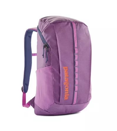 Patagonia Black Hole Pack 25L Summer 2025