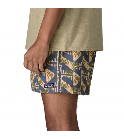 Patagonia Baggies 5