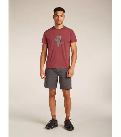 ICEBREAKER M M CORE SS TEE T HEAD Summer 2025