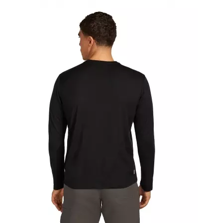 Icebreaker Merino 150 Tech Lite LS T-Shirt Rainer Ridge M's