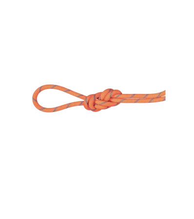 Climbing Rope Mammut 7.5 Alpine Sender Dry Standard 70M Winter 2024