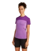 Icebreaker 125 Cool-Lite Merino Blend Sphere III SS Tee W's Summer 2025