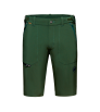 Pants Mammut Runbold Shorts M's Summer 2024