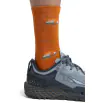 Icebreaker M's Lifestyle Ultralight Crew Socks Backcountry Camp Winter 2024